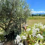 Luxury In Spello, Private Pool, Spa, Restaurant, Sleeps 54 Inc 18 Children * Спелло