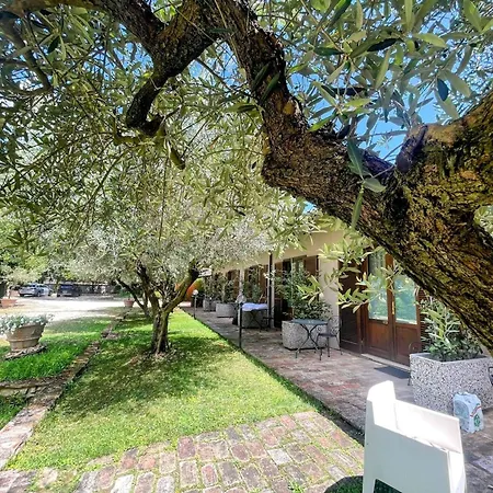 Вилла Luxury In Spello, Private Pool, Spa, Restaurant, Sleeps 54 Inc 18 Children *