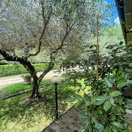 Luxury In Spello, Private Pool, Spa, Restaurant, Sleeps 54 Inc 18 Children * Спелло