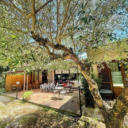 Luxury In Spello, Private Pool, Spa, Restaurant, Sleeps 54 Inc 18 Children Villa *