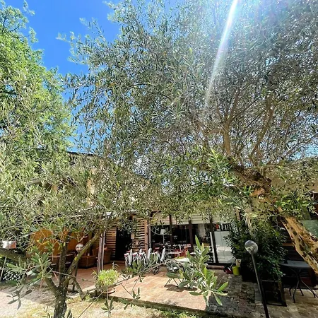 Villa Luxury In Spello, Private Pool, Spa, Restaurant, Sleeps 54 Inc 18 Children Spello