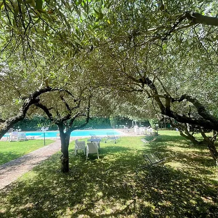 Luxury In Spello, Private Pool, Spa, Restaurant, Sleeps 54 Inc 18 Children *