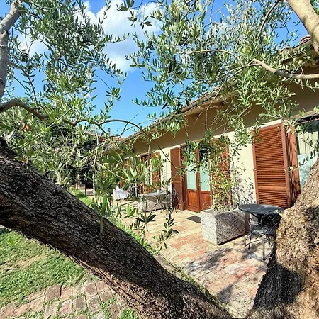 Villa Luxury In Spello, Private Pool, Spa, Restaurant, Sleeps 54 Inc 18 Children