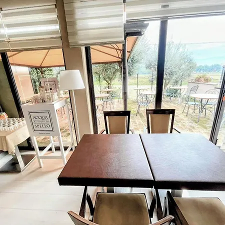 Luxury In Spello, Private Pool, Spa, Restaurant, Sleeps 54 Inc 18 Children Villa